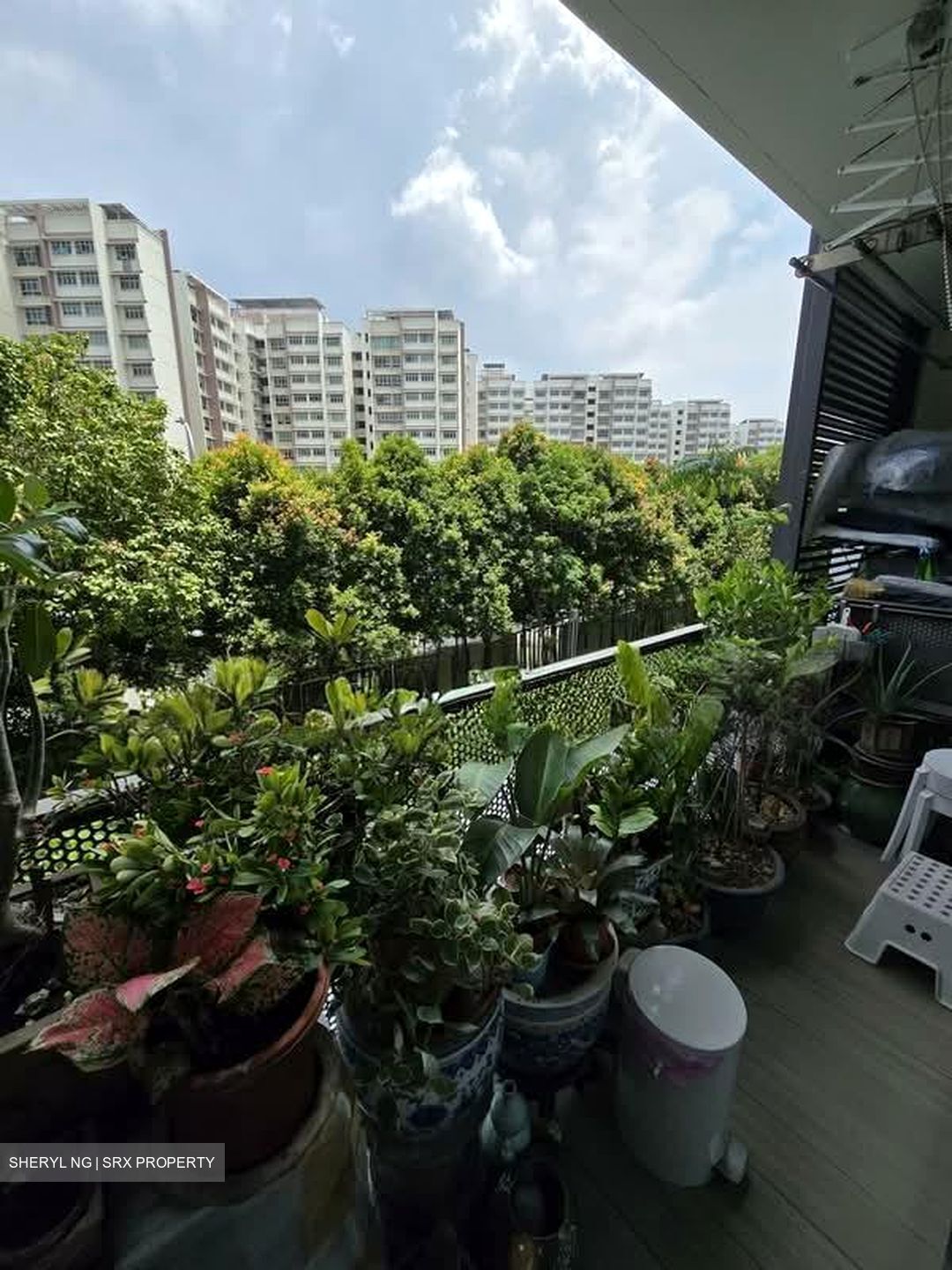 d'Nest (D18), Condominium #530264961